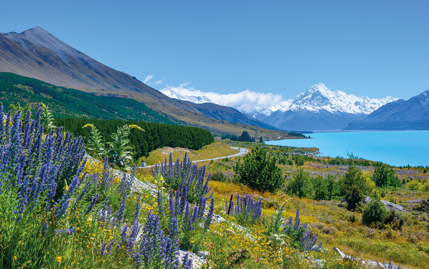 neuseeland titel
